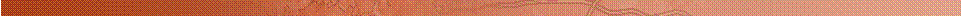 Bottom Banner