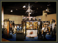 Super Computing 2003